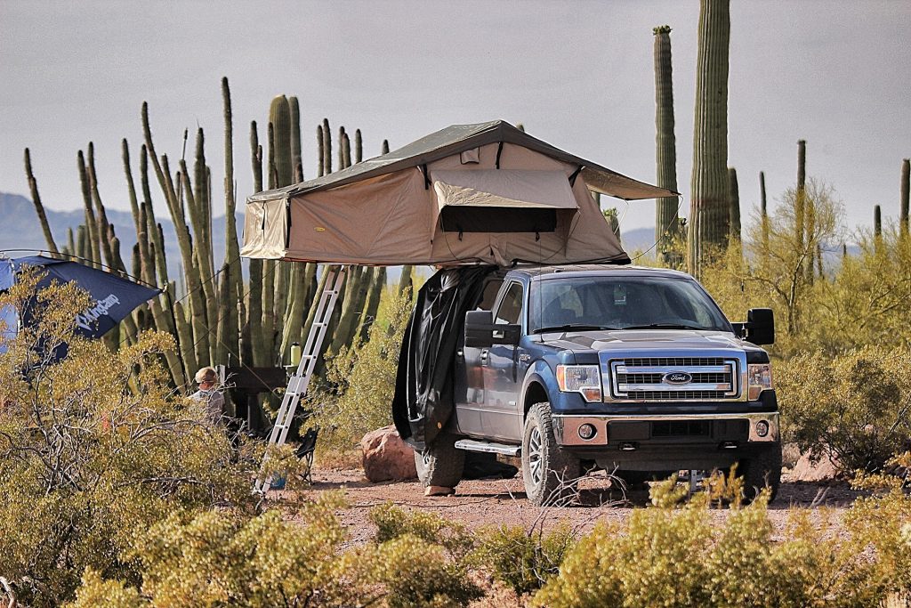 Overland setup at Organ Pipe Cactus National Monument. 2014 F150 with Raptor wheels and 35in tires