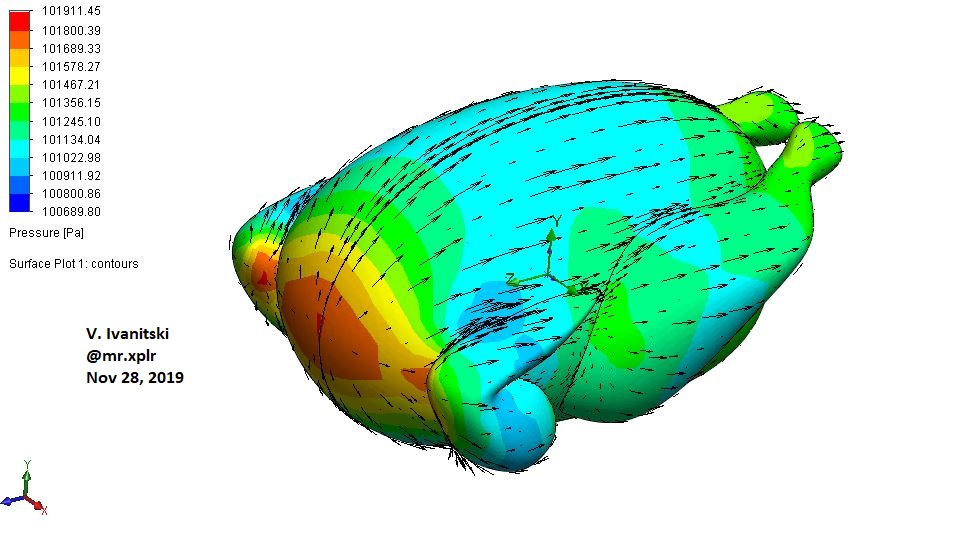 Thanksgiving aerodynamics of a turkey surface pressure plot